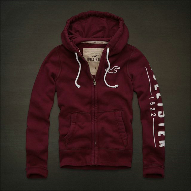 Sweat & Hoody Hollister Homme Pas Cher